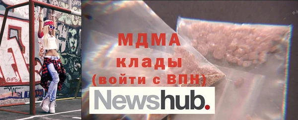 гидра Надым