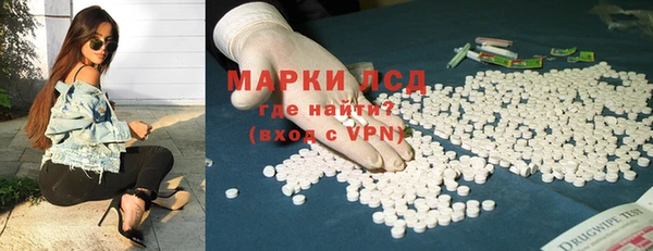 стафф Апатиты