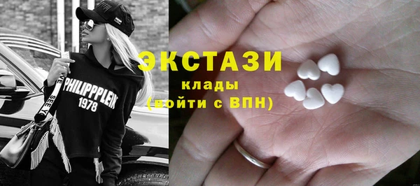 гидра Надым