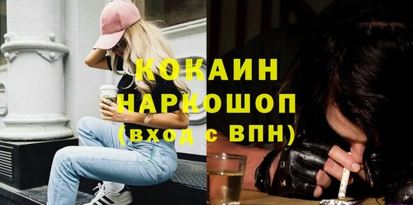 гидра Надым