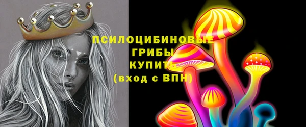 гидра Надым