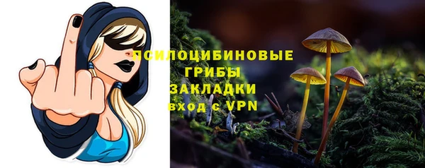 амф Нефтегорск